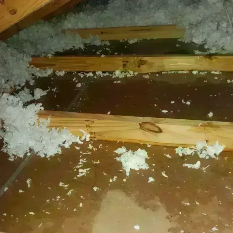 Attic Water Damage in Kingston, WA